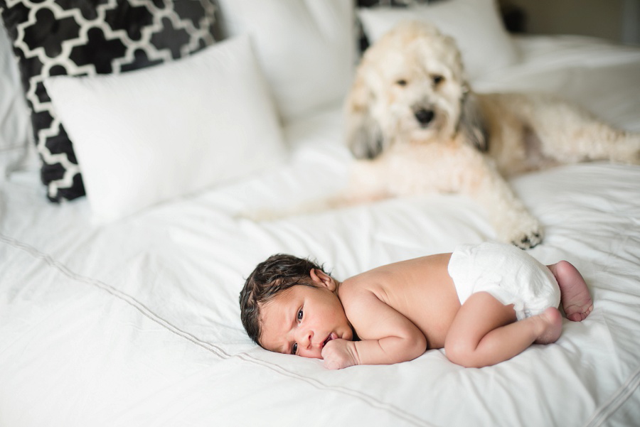 Richmond Hill GA Newborn Session by Tamara Gibson | www.tamara-gibson.com