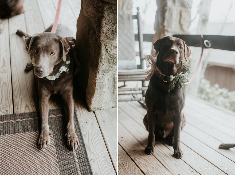 North Georgia Mountains Elopement by Tamara Gibson Photography