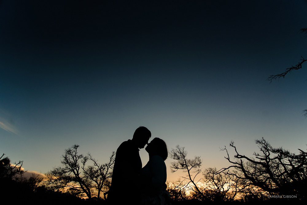 Driftwood Beach Family Photoshoot by Tamara Gibson Photography