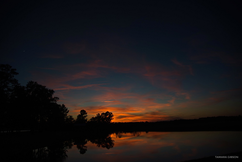 Forrest Pond Lodge Wedding in Ludowici GA