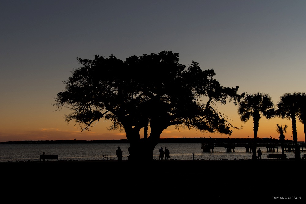 Saint Simons Island Casino Wedding